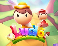 Ludo KM